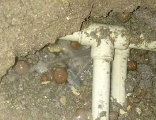 维西卫生间测漏