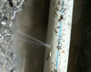 维西卫生间测漏水多少钱